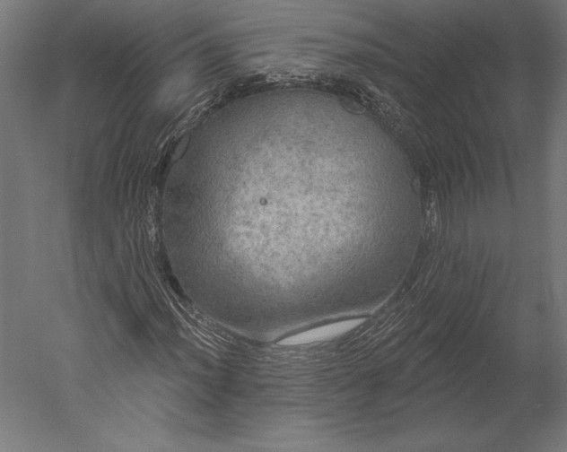 X0000051261012200507011713