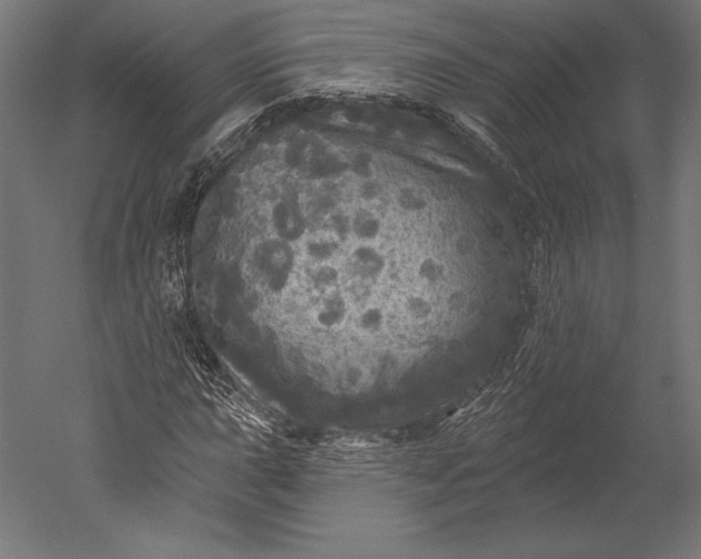 X0000051261015200507011713