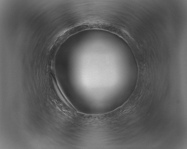 X0000051261016200507011713