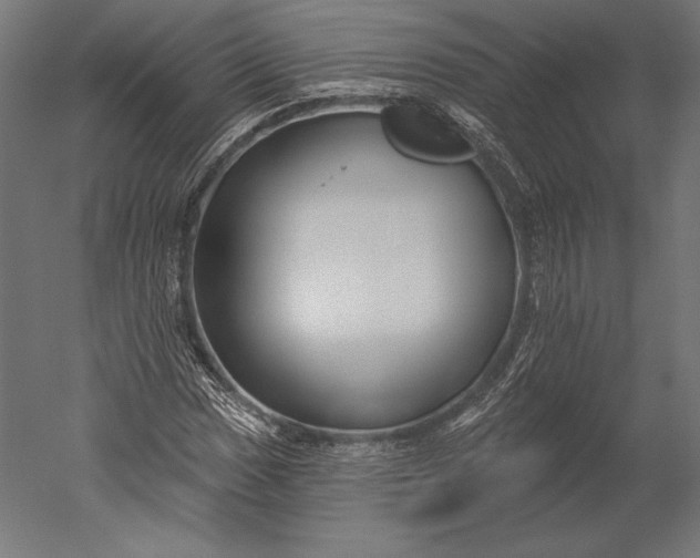 X0000051261017200507011713