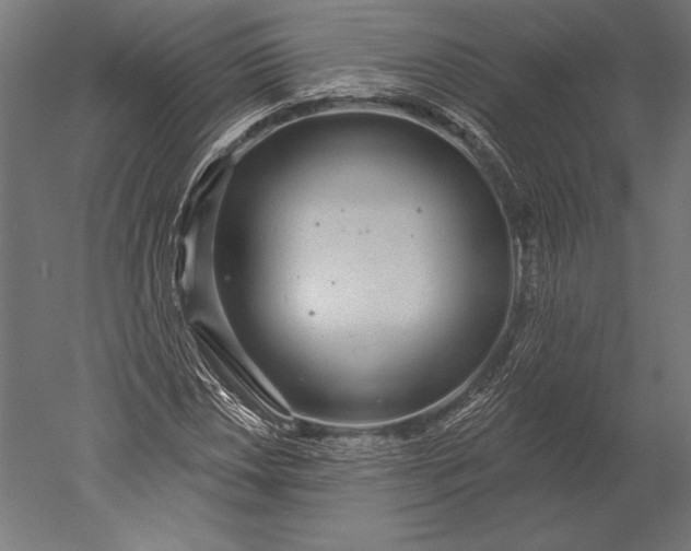 X0000051261018200507011713