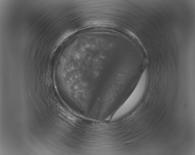 X0000051261019200507011713