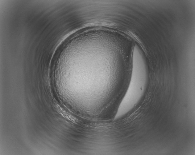 X0000051261020200507011713