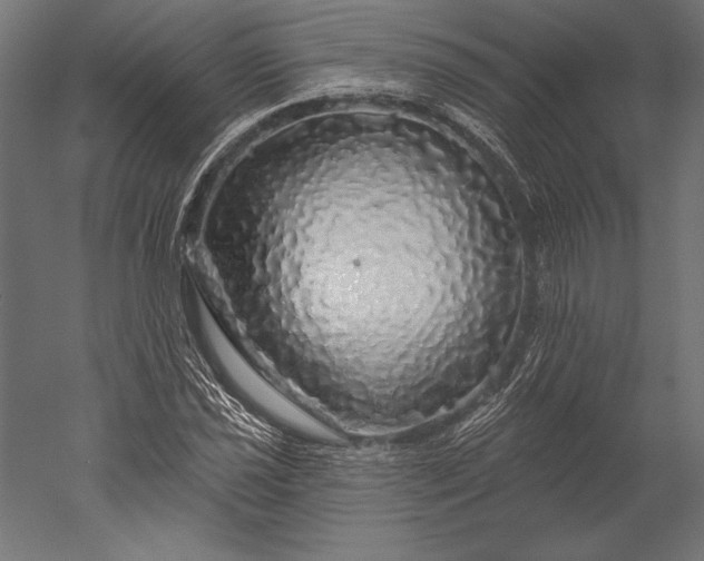 X0000051261021200507011713