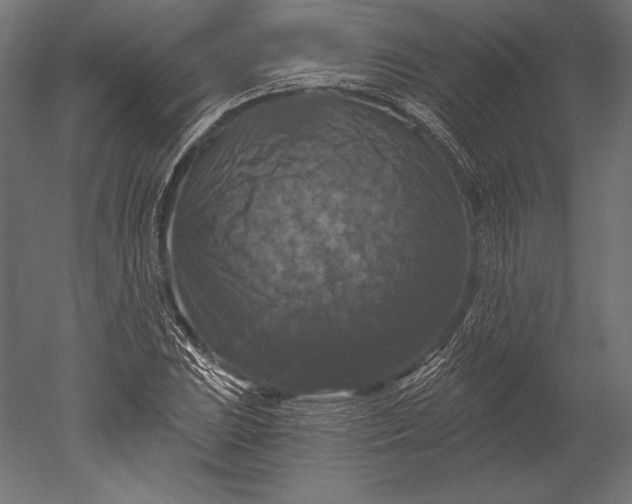 X0000051261023200507011713