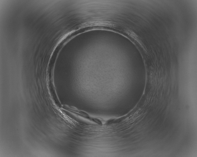 X0000051261024200507011713