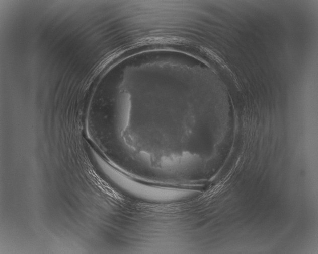 X0000051261025200507011713