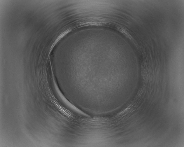 X0000051261026200507011713
