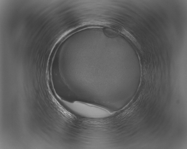 X0000051261028200507011713