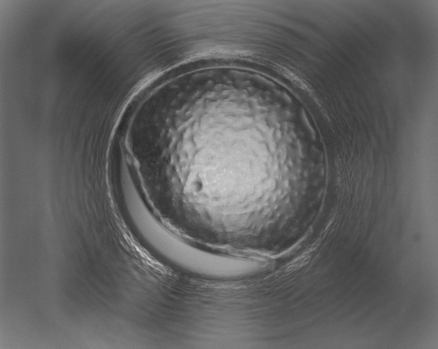 X0000051261029200507011713