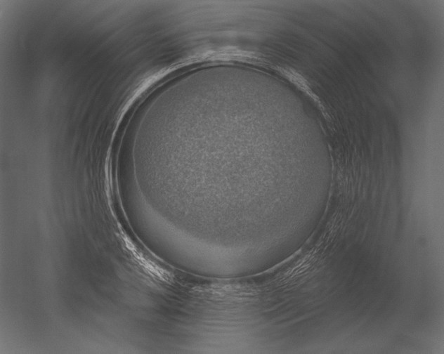 X0000051261032200507011713