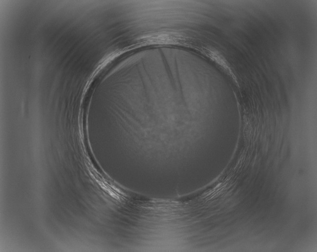 X0000051261035200507011713