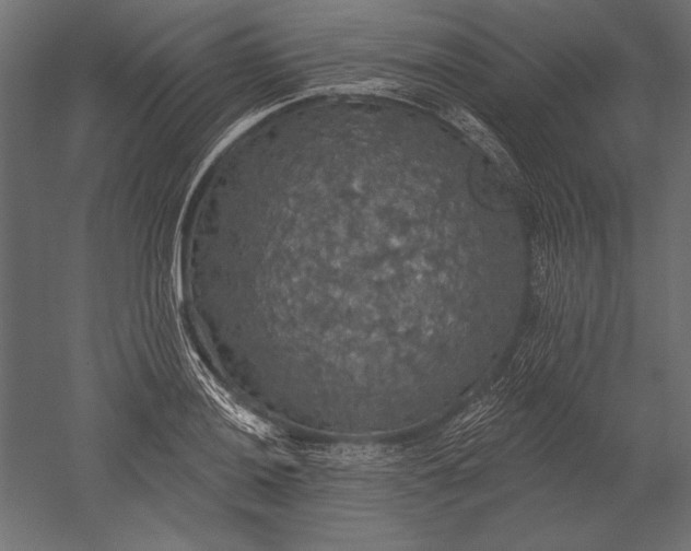 X0000051261036200507011713