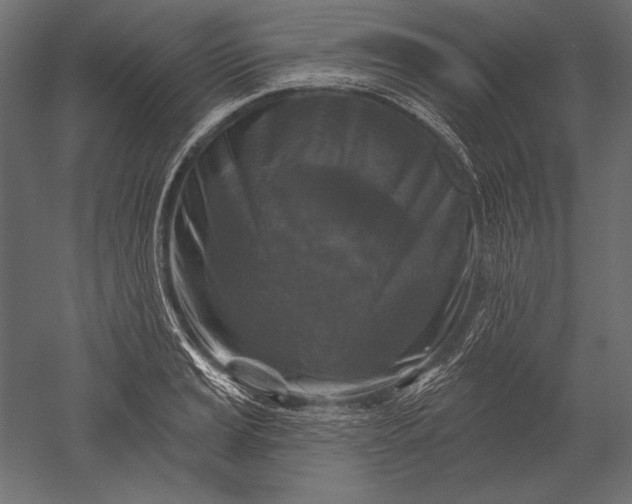 X0000051261037200507011713