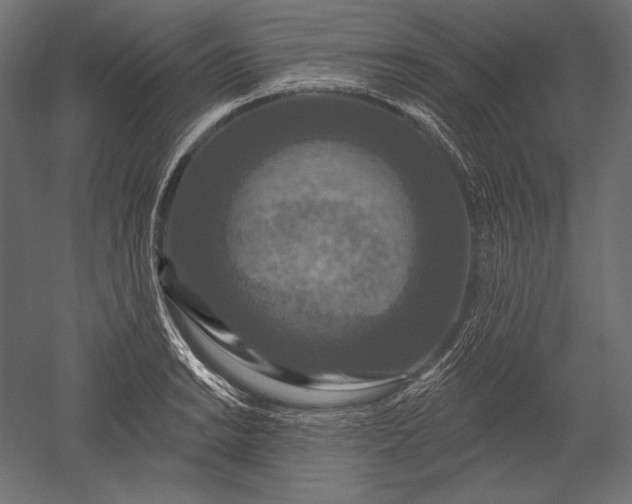 X0000051261038200507011713