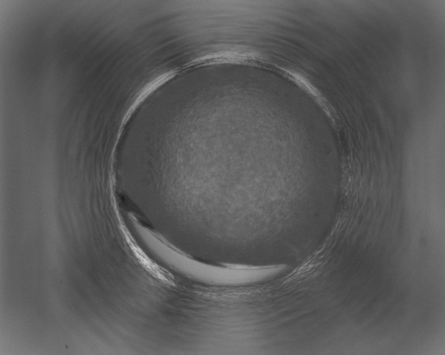 X0000051261042200507011713