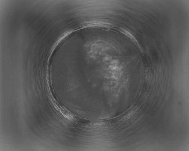X0000051261043200507011713