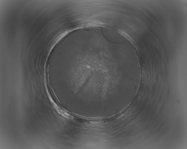 X0000051261047200507011713