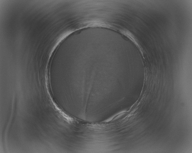 X0000051261048200507011713