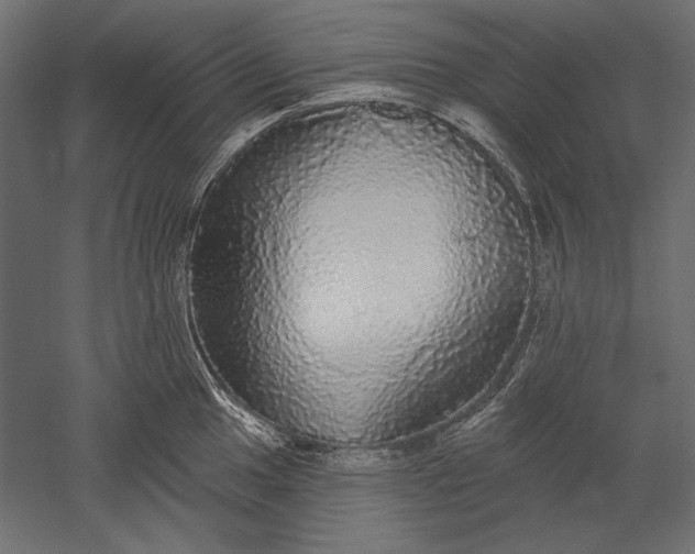 X0000051261049200507011713