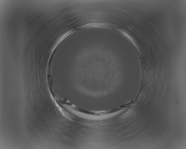 X0000051261050200507011713