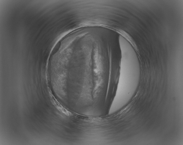 X0000051261052200507011713