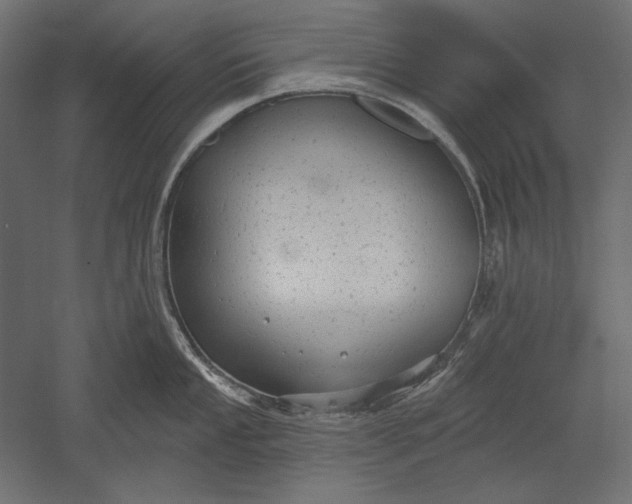 X0000051261053200507011713
