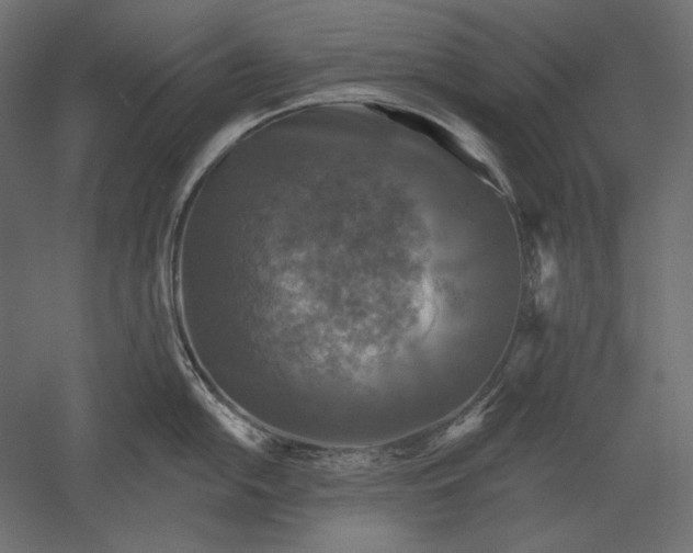 X0000051261054200507011713