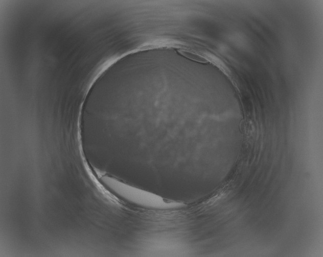 X0000051261055200507011713