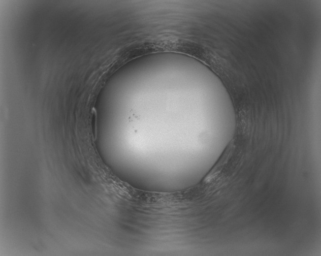 X0000051261057200507011713