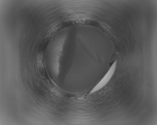 X0000051261060200507011713