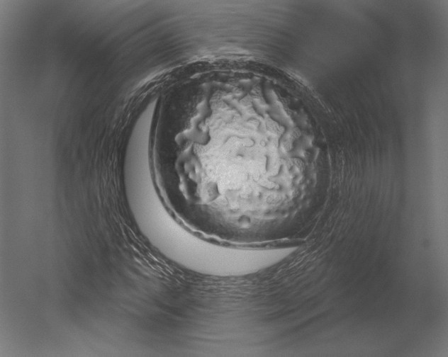 X0000051261063200507011712
