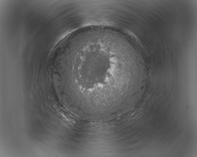 X0000051261064200507011712