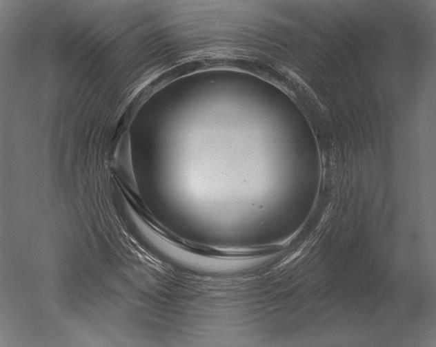 X0000051261065200507011712