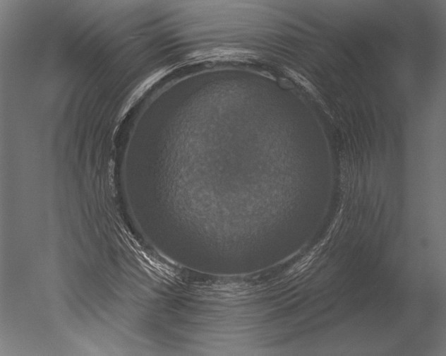 X0000051261066200507011712