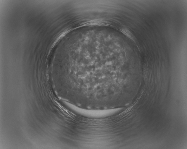 X0000051261067200507011712