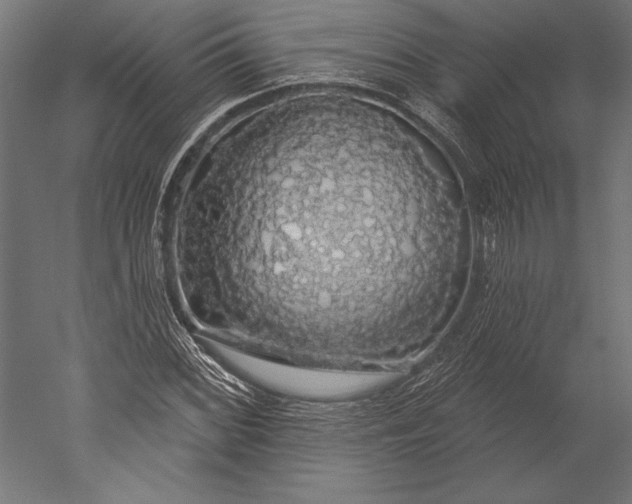 X0000051261068200507011712