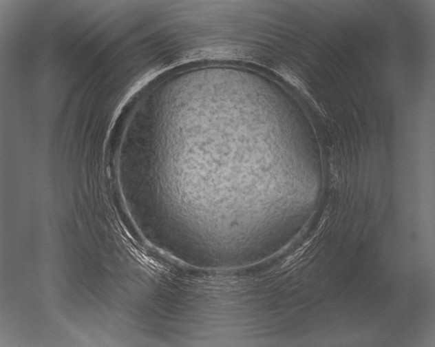X0000051261070200507011712