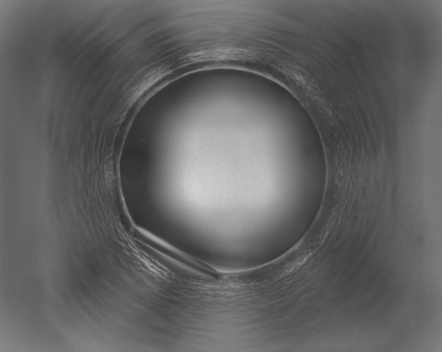 X0000051261073200507011712