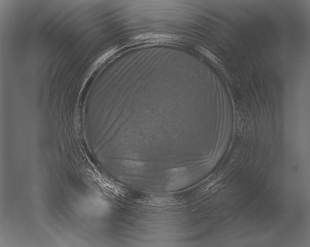 X0000051261074200507011712
