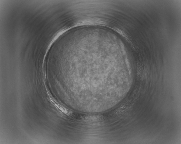 X0000051261078200507011712