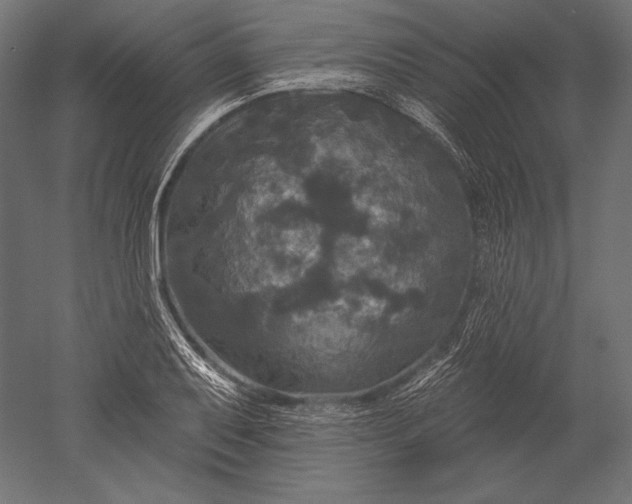 X0000051261079200507011712