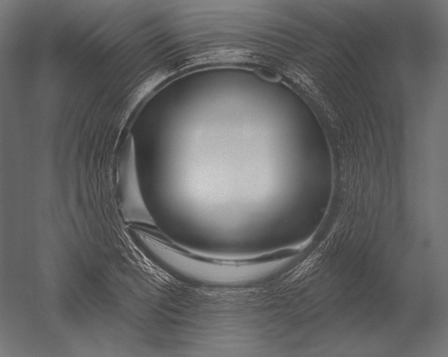 X0000051261081200507011712