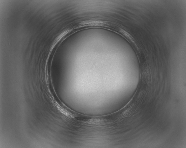 X0000051261082200507011712
