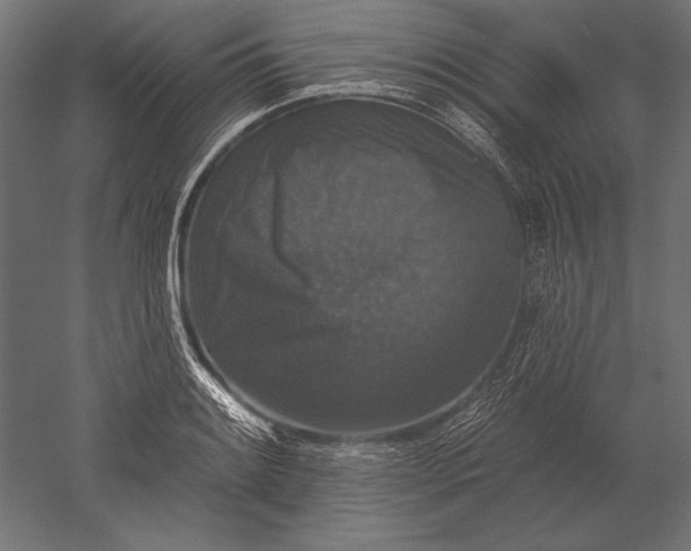X0000051261084200507011712