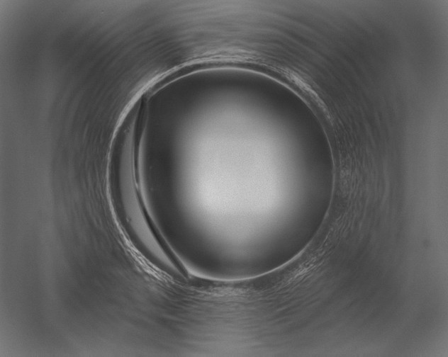 X0000051261085200507011712