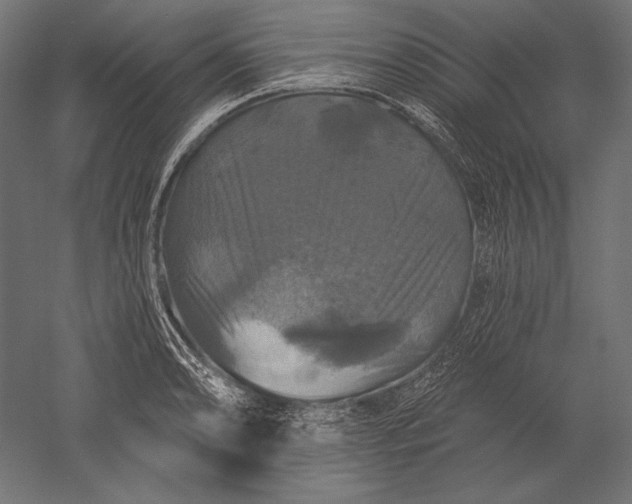 X0000051261086200507011712