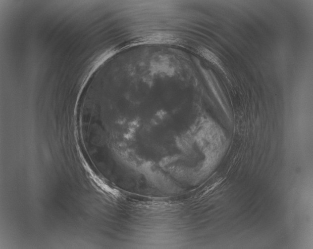 X0000051261087200507011712