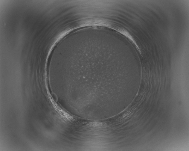 X0000051261088200507011712