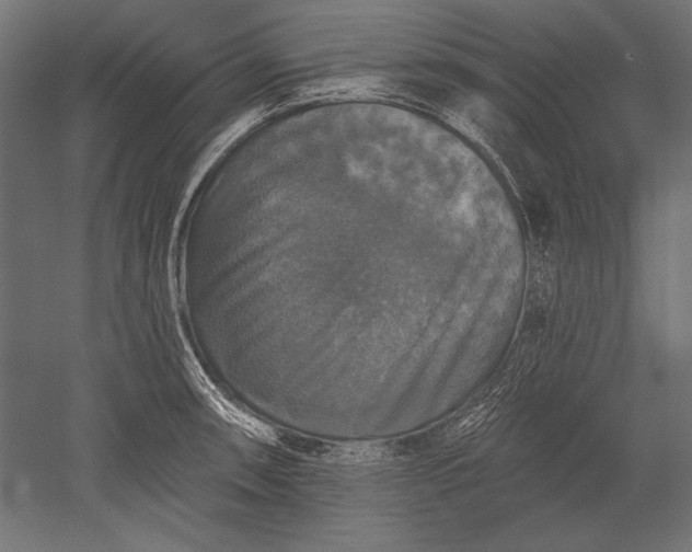 X0000051261090200507011712